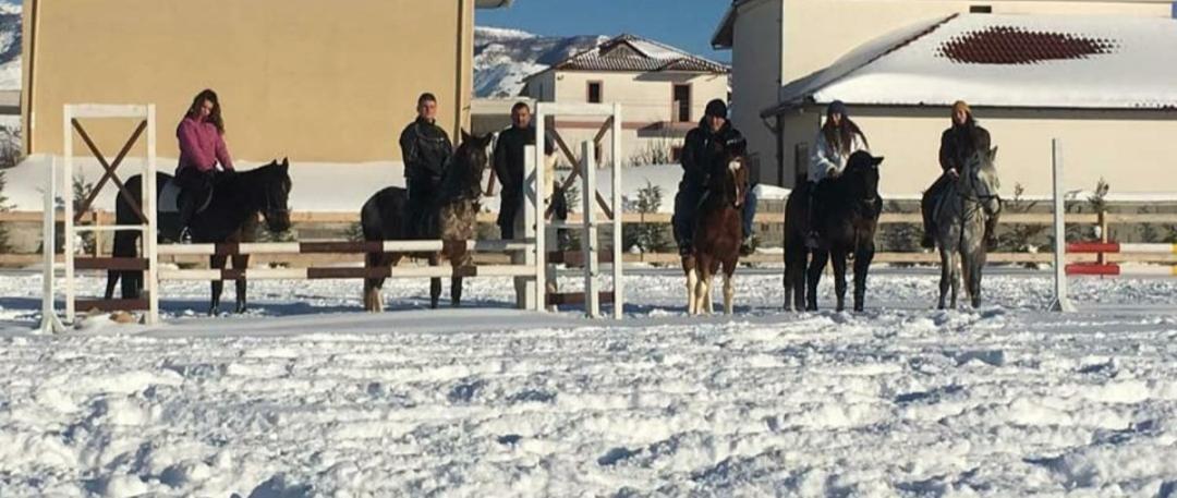 House Of Horses Shtepia E Kuajve Hotel Корча Екстериор снимка