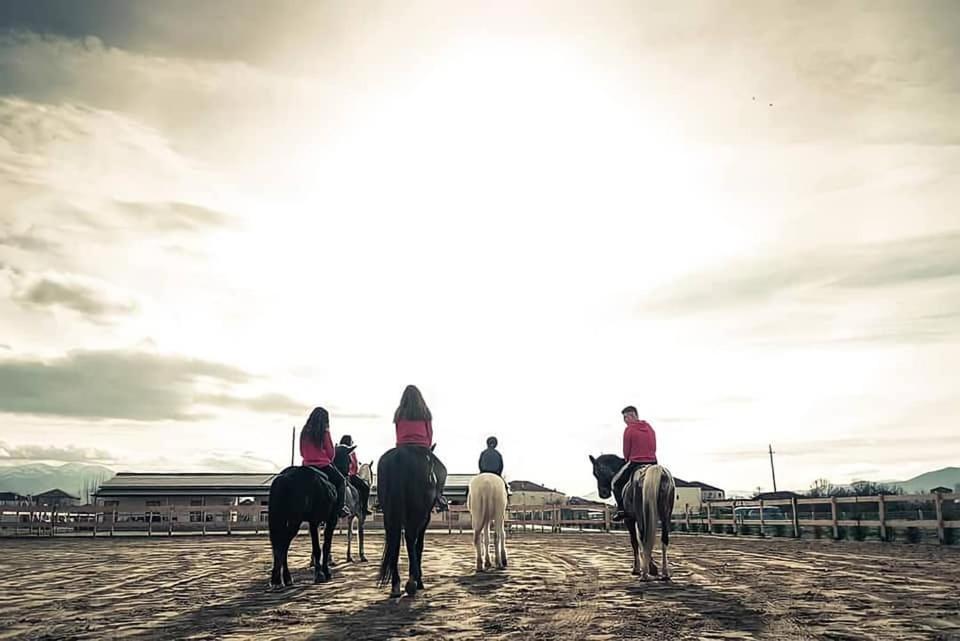 House Of Horses Shtepia E Kuajve Hotel Корча Екстериор снимка